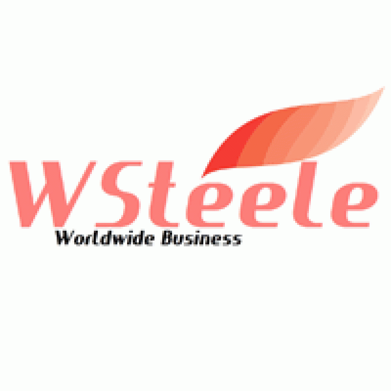 Wsteele - Worldwide Business